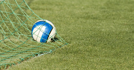 Fototapeta na wymiar Soccer ball in nest