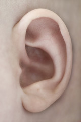 Extreme closeup of human ear - body part