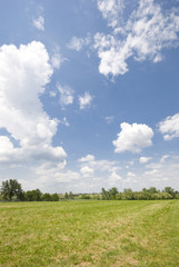 Fototapeta na wymiar green field, grass and blu sky