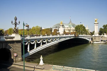 Papier Peint photo autocollant Pont Alexandre III Pont Alexandre III - Paris