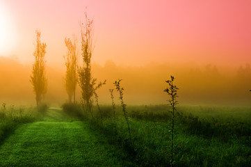 Fototapeta premium Mystical Morning