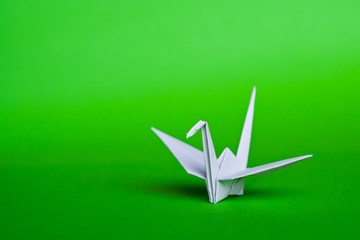 A white origami crane on a green background