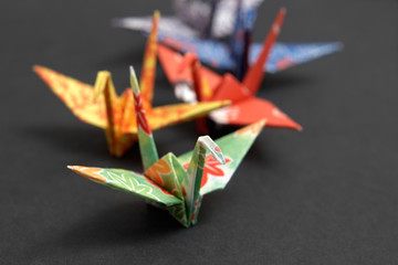 Five origami birds on a black background
