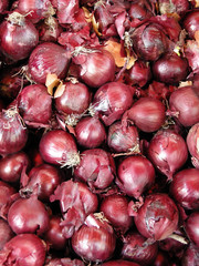Rote Zwiebeln
