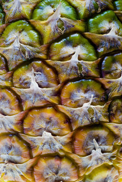 A closeup shot of pineapple skin