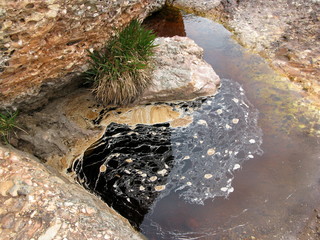 Mare d'eau stagnante.