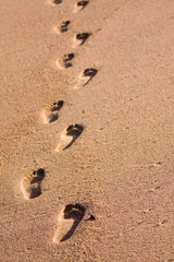 A row of foot prints on the beach leading away from the viewer