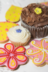 Variety of colorful baked and decorated cakes