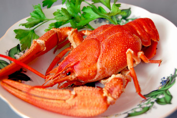 Boiled crayfish on plate