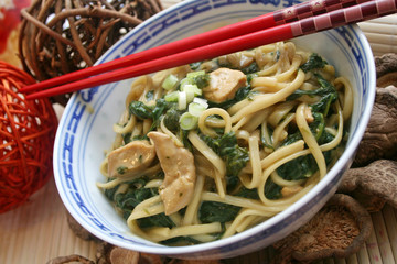 udon nudeln