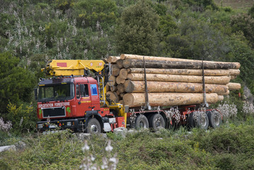 camion de transport de bois