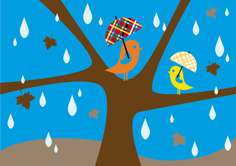 autumn rain, lovebirds sitting on tree in rainfall with umbrella