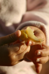 &agrave; la d&eacute;couverte de la nature