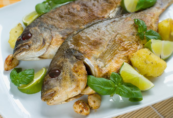 Baked gilt-head garnished with basil and green lime