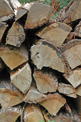 Holzscheite