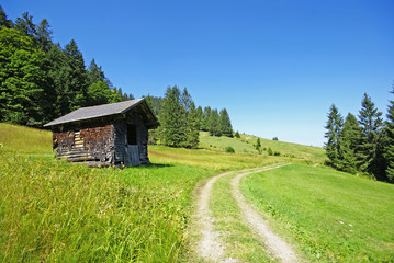 Wanderweg in den österreichischen Alpen