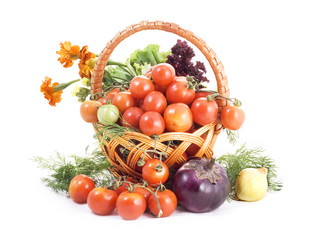 Vegetables on white background