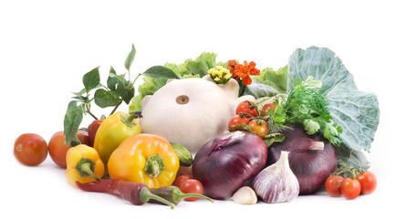 Vegetables on white background