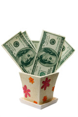 dollars growing in the flowerpot