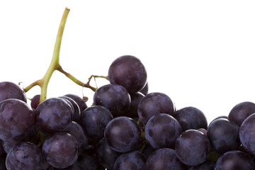 a macro detail of fresh grapes
