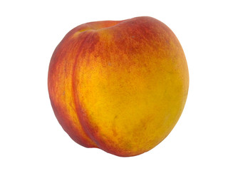 Fruit a peach an apricot result of crossing