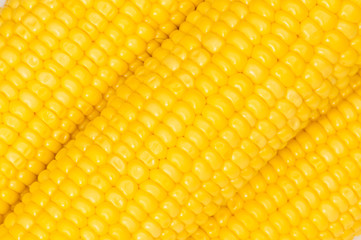 Extreme close up of yellow corn cobs