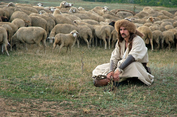 Lonely shepherd with sheep on green meadow traditional culture
