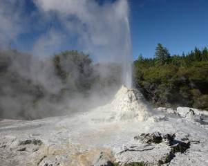 The 'White Lady' geyser near Rotorua, New Zealand