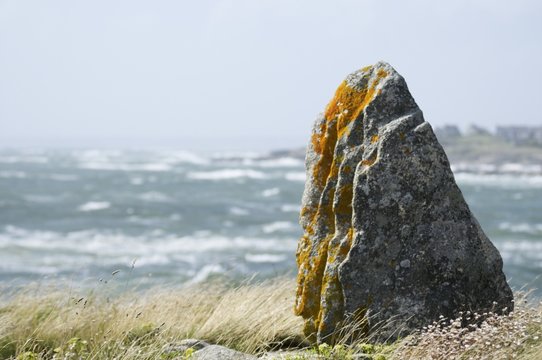 Ecueil Images Browse 43 Stock Photos, Vectors, and Video Adobe Stock