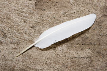 White feather on a rough stone surface