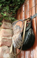 Equipment of the falconer
