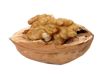 Delicious open walnut on white background