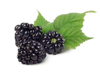 Three dewberries (blackberries) and green leaves.Isolated