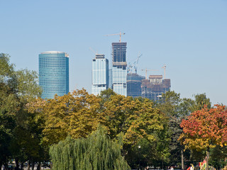 Autumn foliage against under construction skyscrapers