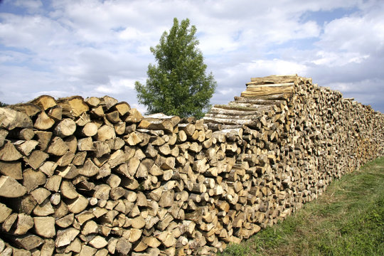 rang&eacute;e de rondins de bois