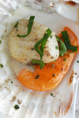 Capesante al forno - Antipasti di pesce Emilia Romagna