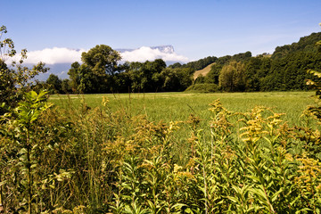 Paysage de Savoie