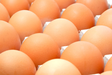 Fresh rural eggs packed into cardboard container