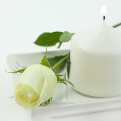 Yellow rose and candle on a white background