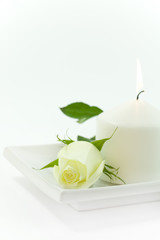 Yellow rose and candle on a white background