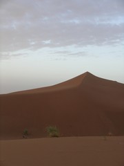 Fototapeta na wymiar désert maroc