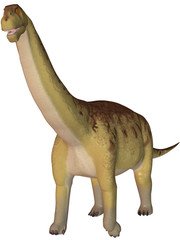 Camarasaurus-3D Dinosaurier