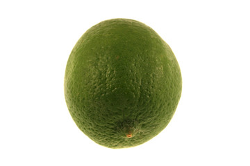 A green lime isolated on a white background