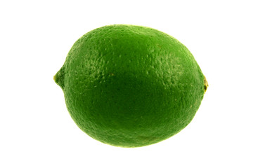 A green lime isolated on a white background