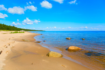 the sunny summery landscape of sea coast