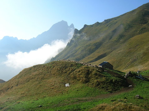 Bergerie en Ossau