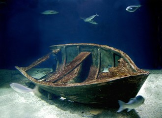 wreck of a sunken boat