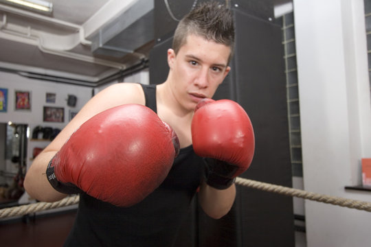 Boxer mit roten Boxhandschuhen