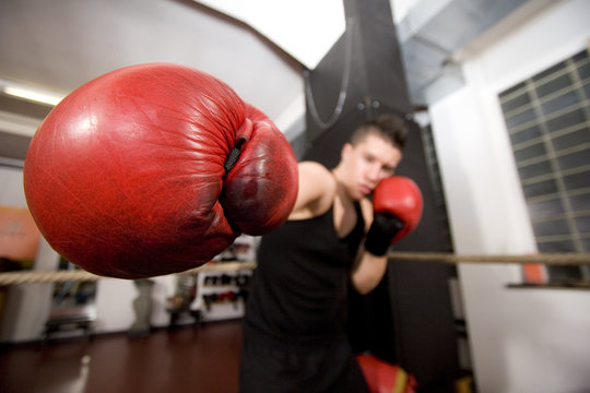 Boxer schl&auml;gt zu