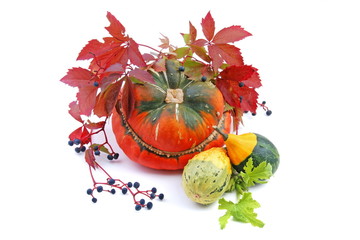pumpkin with leafs